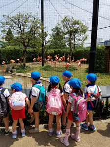 上野動物園へ春の遠足に行きました写真01